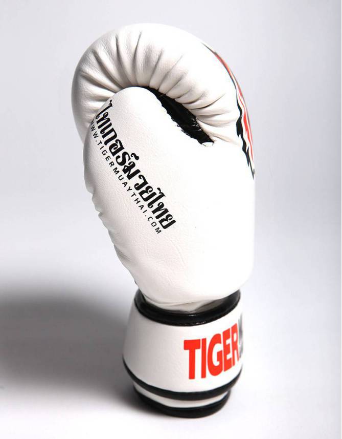 Gloves - Muay Thai - "Signature" - White