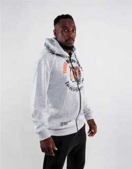 Hoodie Big Logo Grey