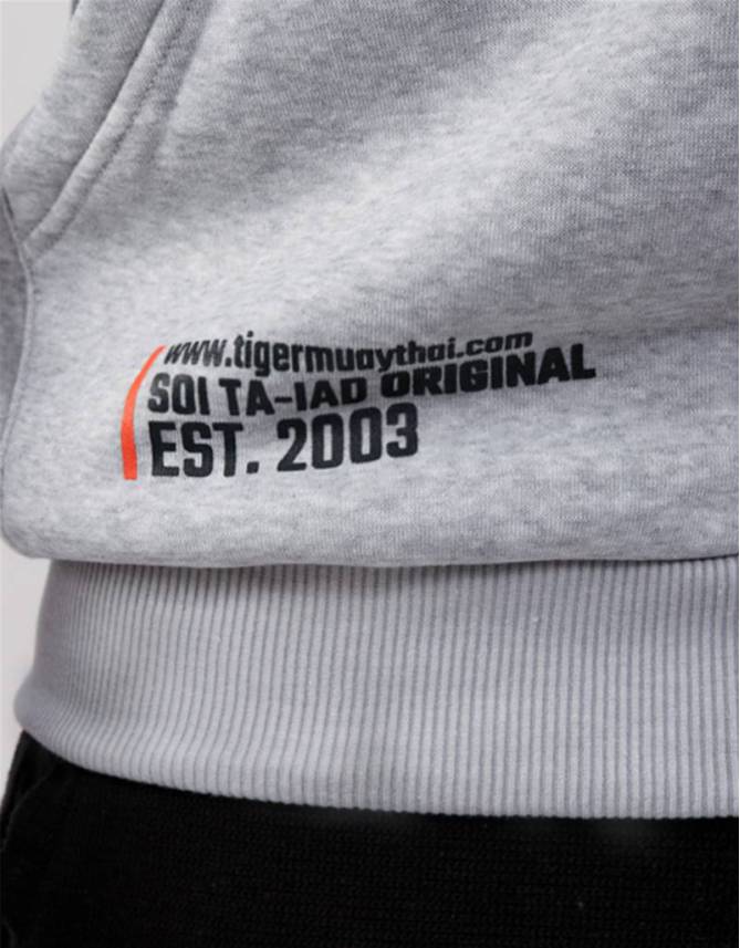 Hoodie Big Logo Grey