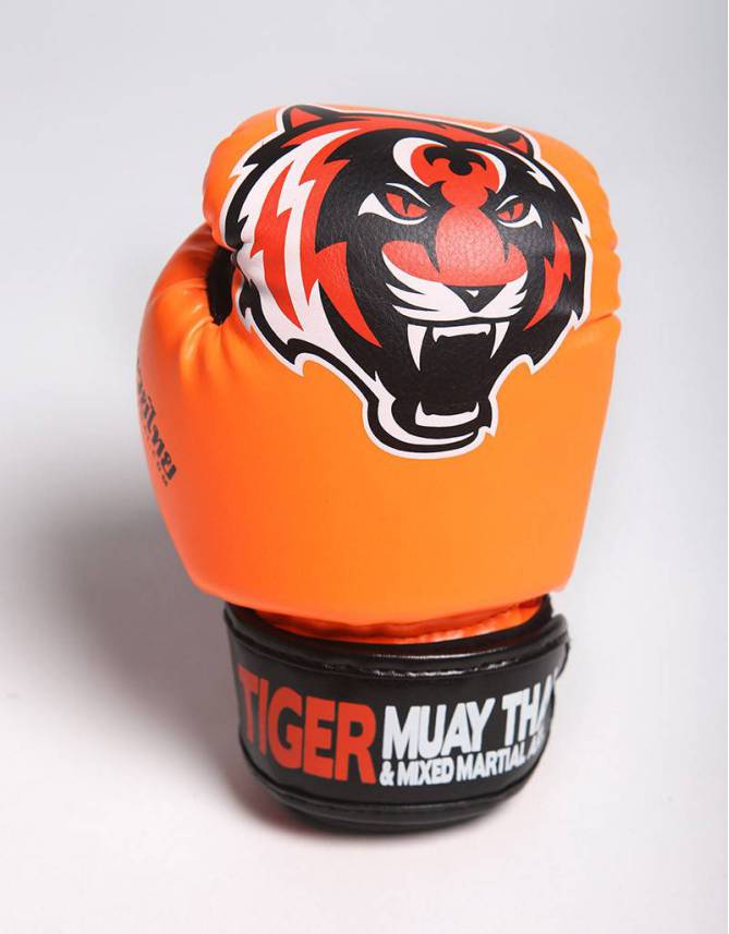 Kids Gloves - Muay Thai - "Signature" - Orange