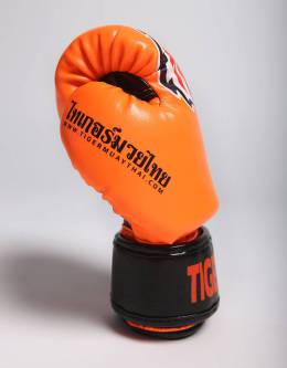 Kids Gloves - Muay Thai - "Signature" - Orange